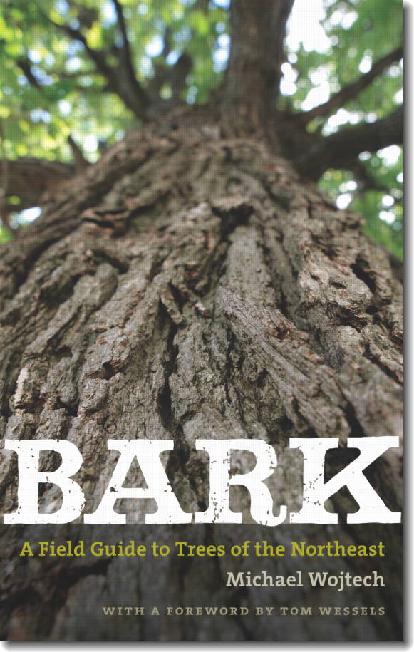 Bark! : A Tree Identification Hike