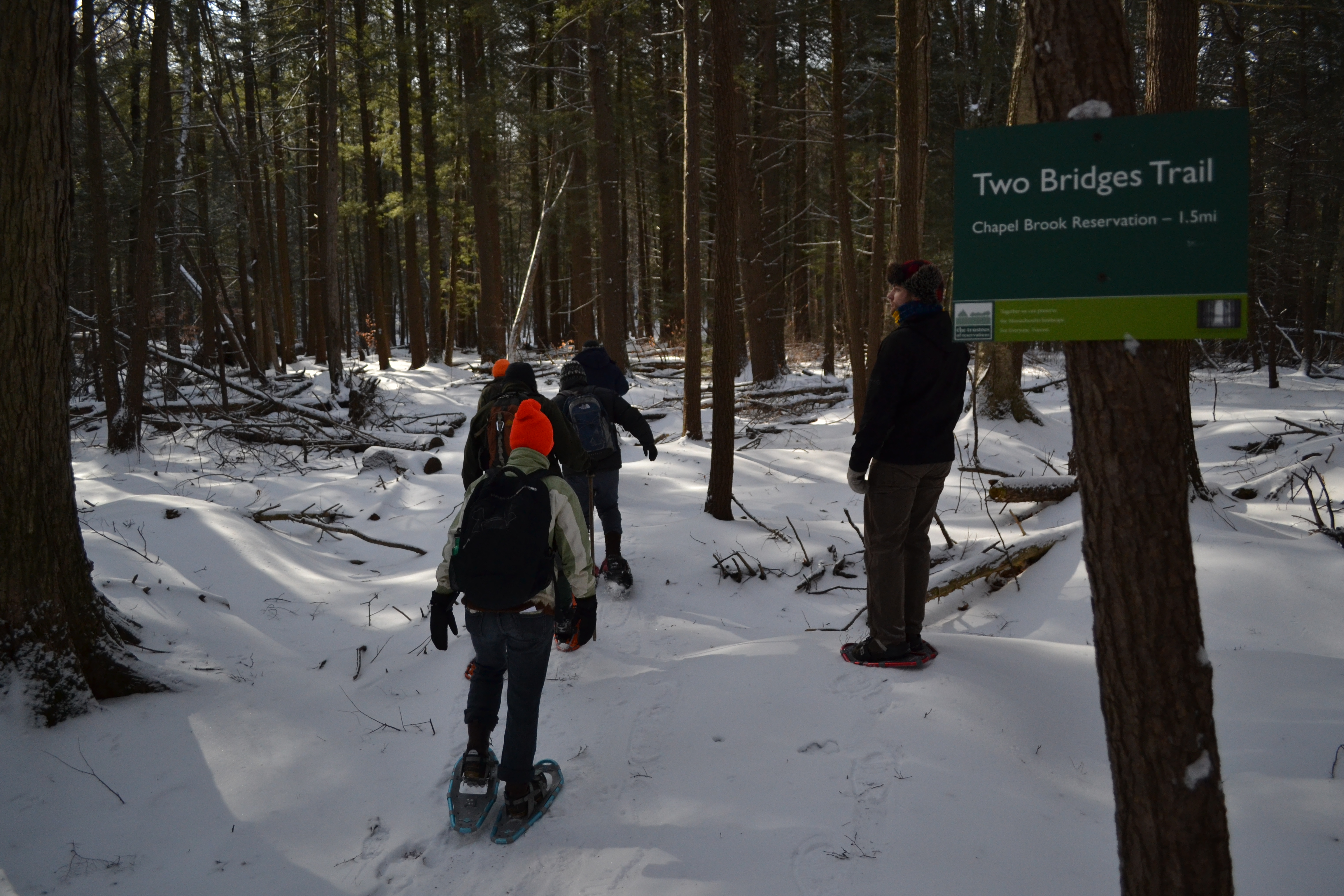 Hilltowns Hiking Series - Snowshoe at Chapel Brook
