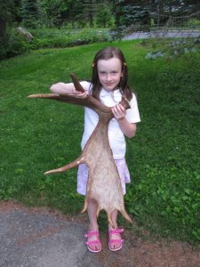 Young white girl standing in front of a lawn, holding a large moose antler that is nearly as tall as she is.