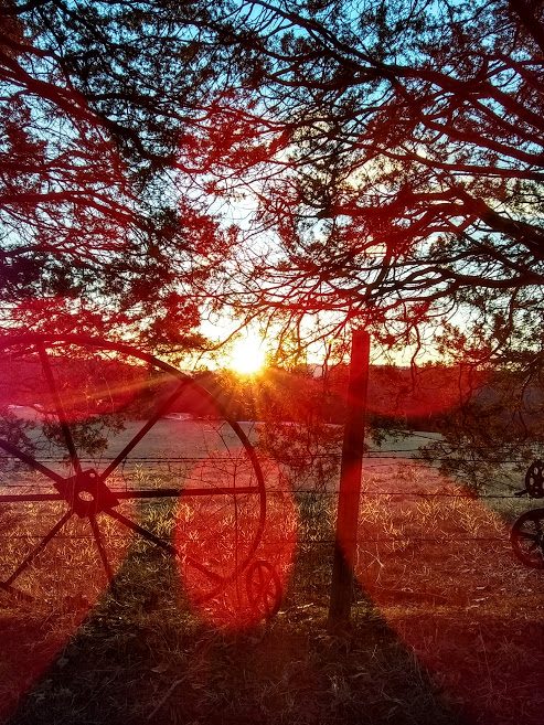 Tree, fence, and wagon sheet in the foreground, sun setting over a hill in the background