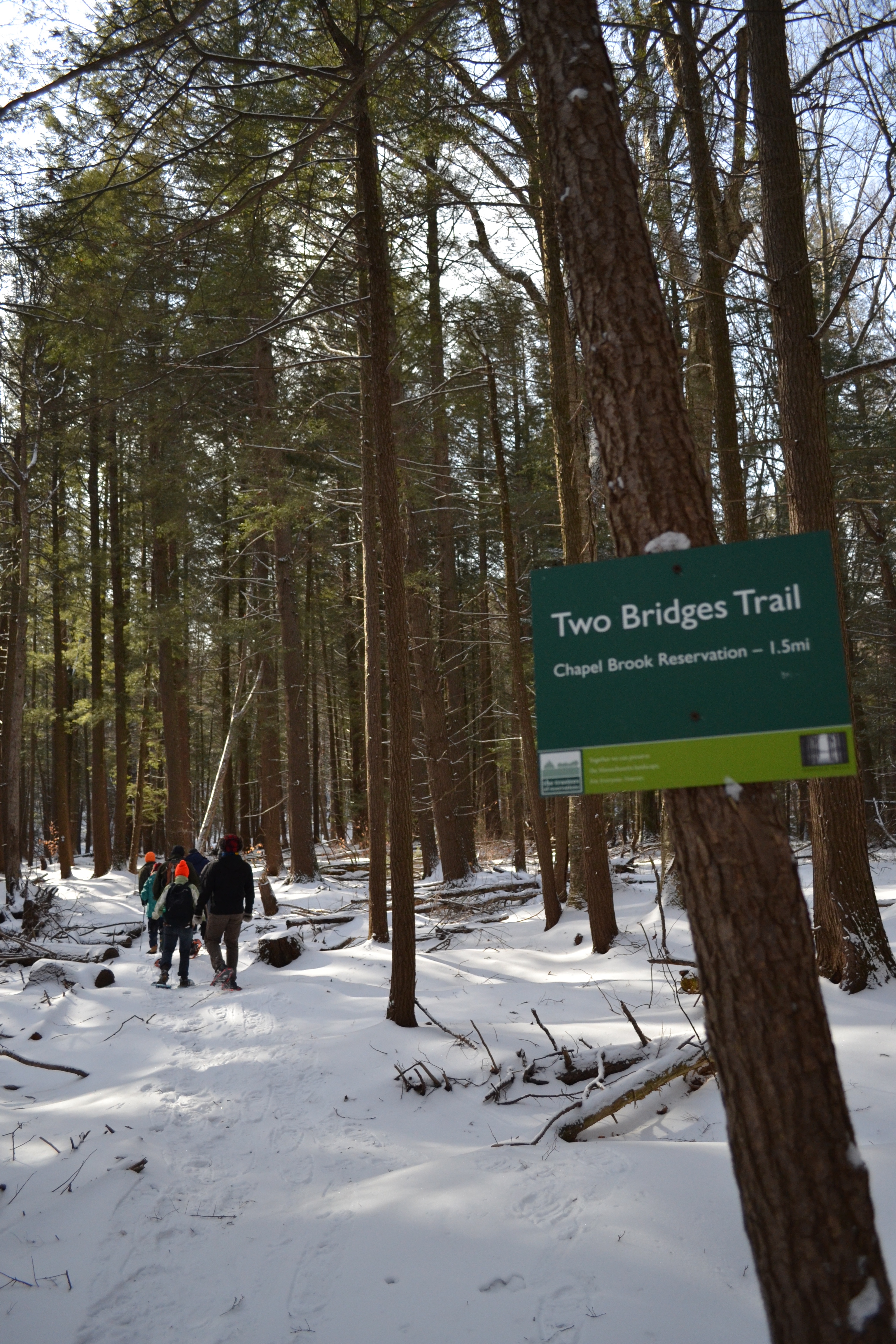 Hilltowns Hiking Series – A Mid-Holiday Hike at Bullitt Reservation