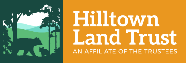 HLT Logo