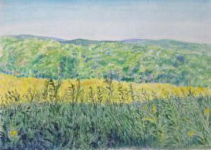 Pastel of Goldenrod Field on Pony, Mountain By Angela Vincent