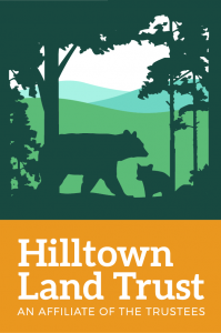 HLT logo