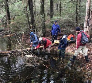 group of people investigating a vernal pool