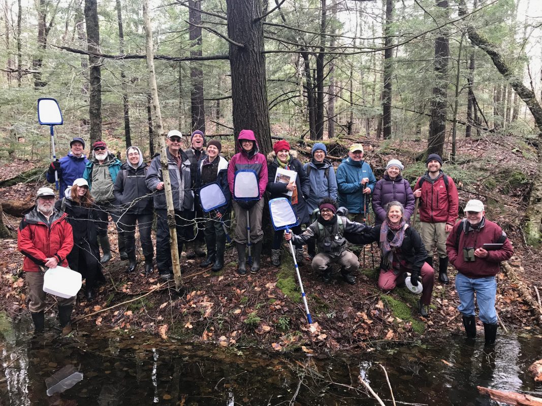 A group pf 17 volunteers stand around and inside a small wooded wetland called a Vernal Pool at Hilltown Land Trust's Vernal Pool Plunge event. All volunteers are dressed in rubber knee high rain boots, pants, and raincoats. Many other volunteers are holding long white extendable nets, clipboards and buckets. All these tools are used for the Vernal Pool Plunge training event. The volunteers are standing in front of a large trunk of a white pine tree with long branches and many other species of trees can be seen in the background of the photo including hemlock and maples.