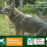 Splash screen for wildlife webinars with logos