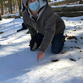 Adult Wildlife Tracking Workshop