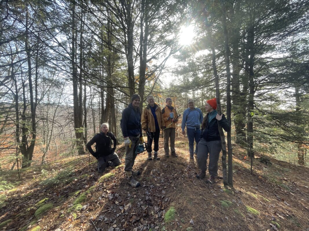 6 volunteers, male and female, dressed in pants, jackets and hats are smiling at the camera while one looks off in the distance. They are standing at an opening in the forest with small pine and hemlock trees and the sun peaking through the trees in the background. Shadows are cast towards the camera.