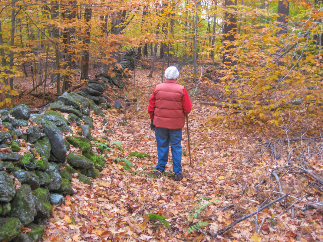 Margaret Waggoner, seen from behind, walks along a path in the woods using a walking stick. She is dress in jeans and a red top with a red vest. Next to her is a long rock wall, and she is surrounded by autumn leaves on the trees. 