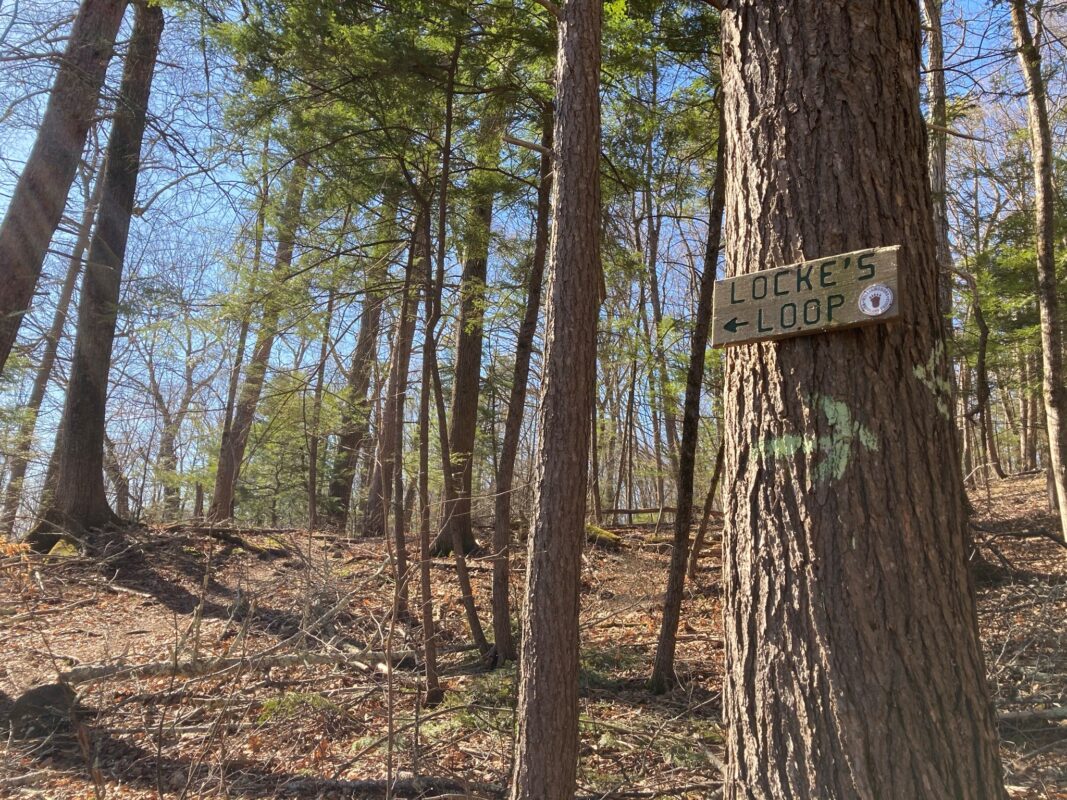 A trail sign nailed to a tree reads "Locke's Loop," with an arrow pointing left.