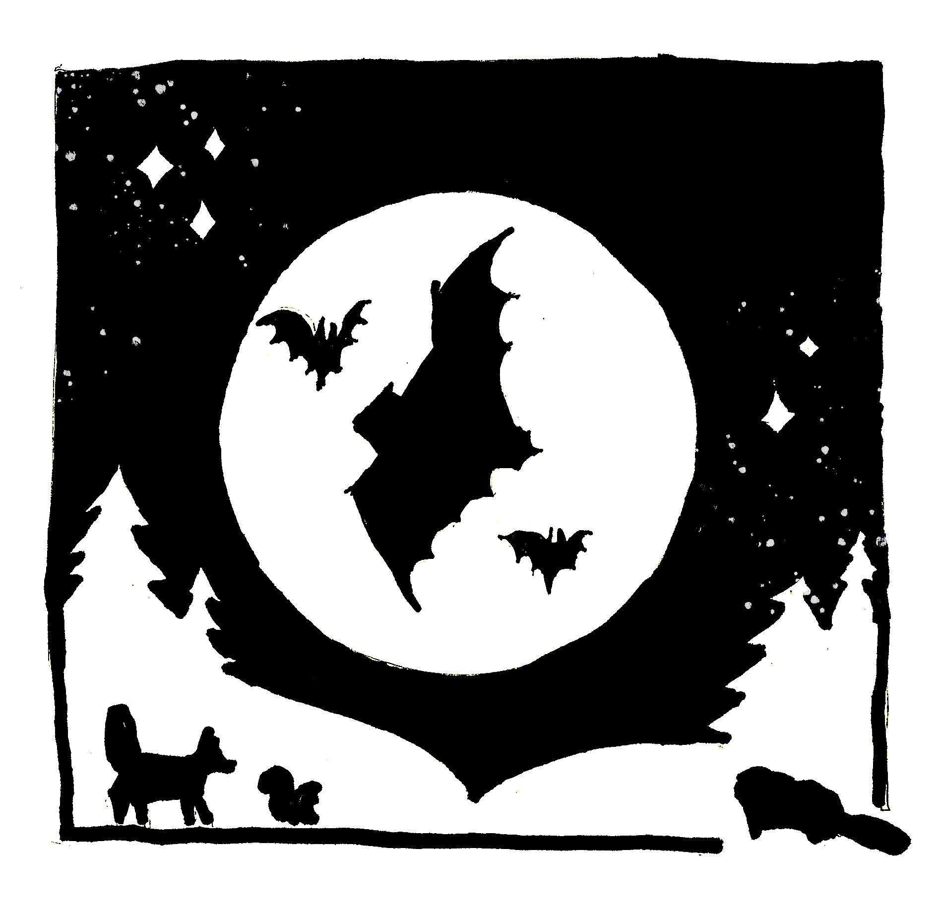 Things That Go Bump In The Night: Nocturnal Creatures Family Workshop