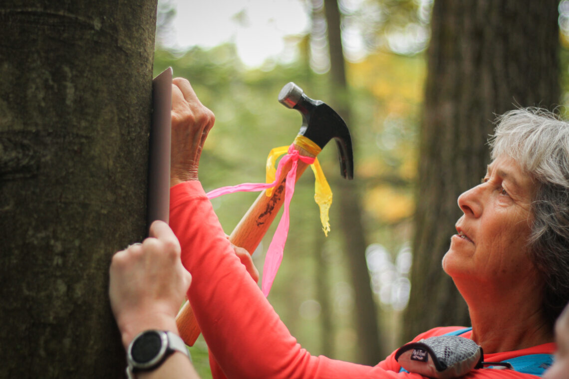 A volunteer hammers a sign into a tree.