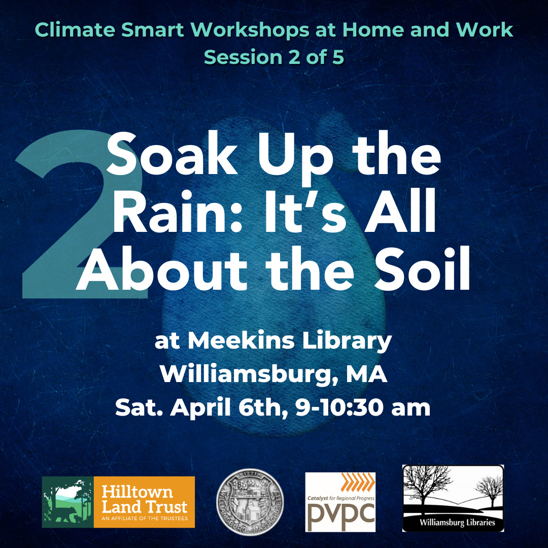 Soak Up the Rain: It’s All About the Soil