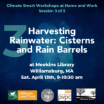 Harvesting Rainwater: Cisterns and Rain Barrels