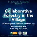Collaborative Forestry in the Village: Meet a Forester Woods Walk
