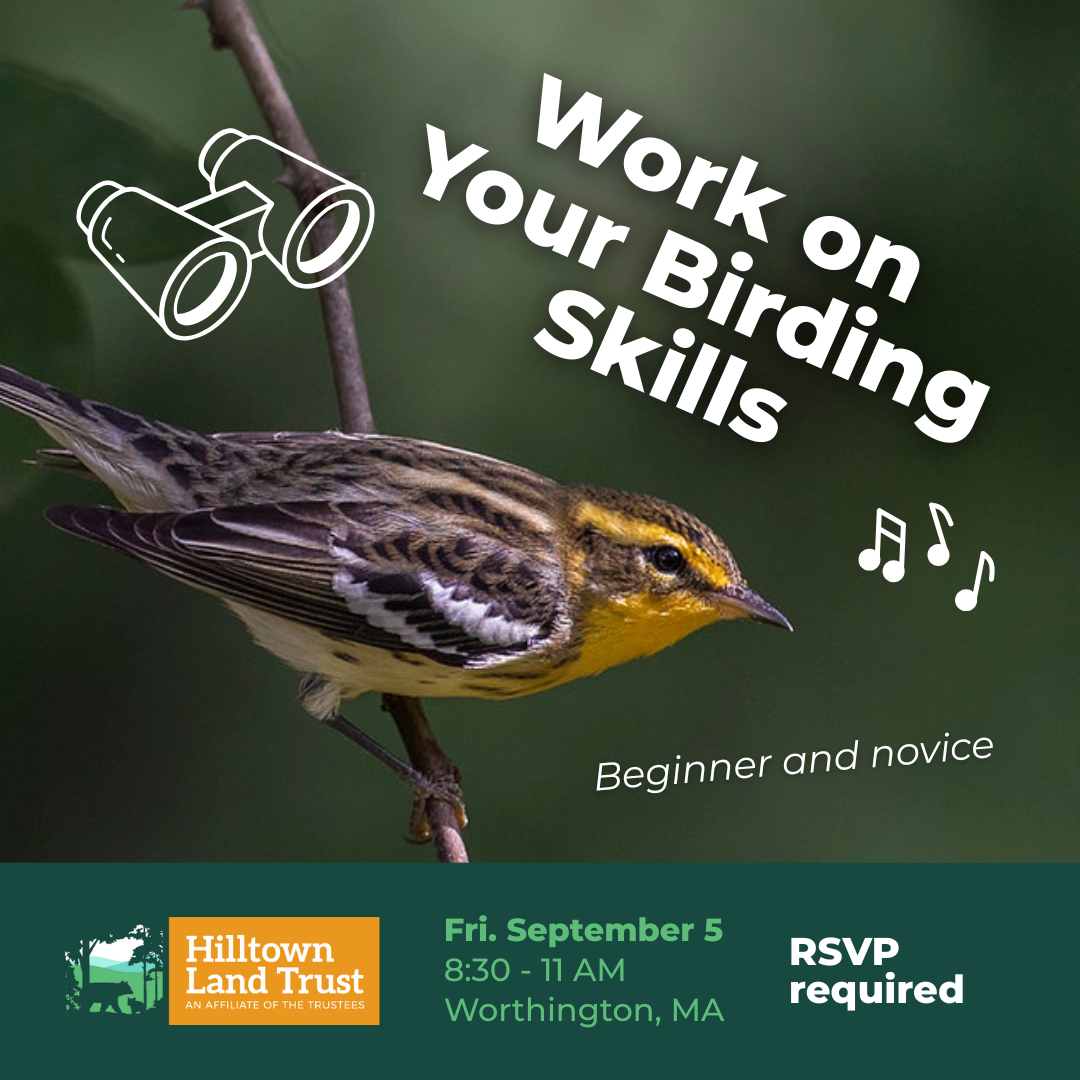 Work on Your Birding Skills