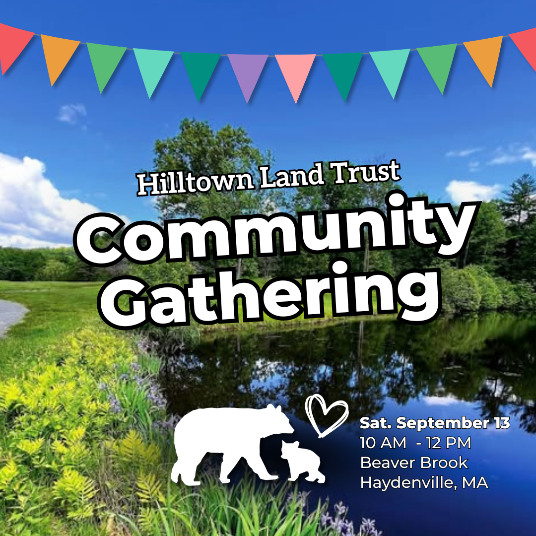 HLT Community Gathering