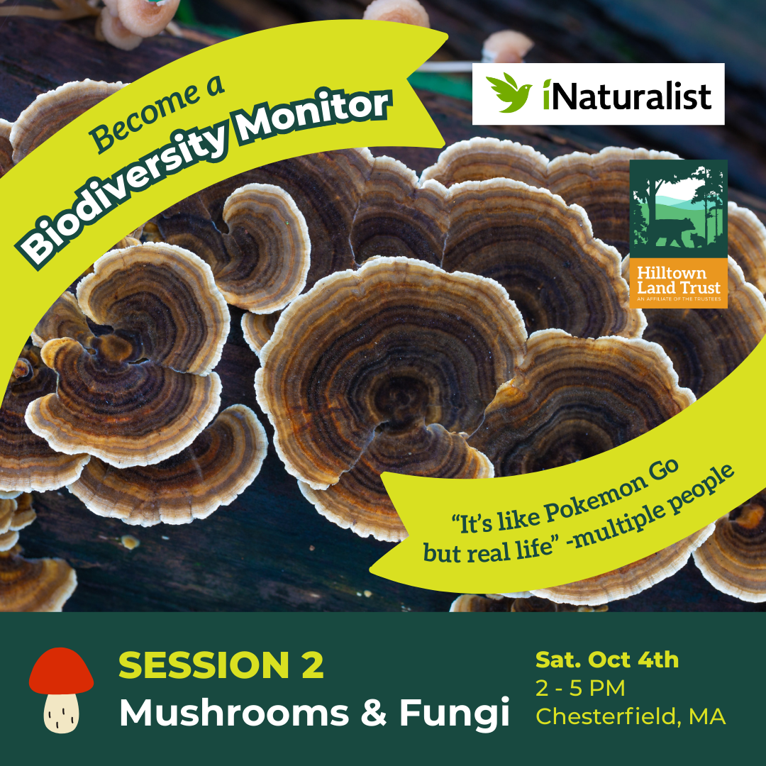 Biodiversity Monitoring Training: Mushrooms and Fungi