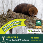 Biodiversity Monitoring Training: Tree Bark & Wildlife Tracking
