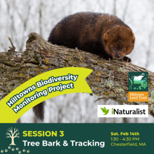 A graphic with a photo of a fisher (medium brown furry mammal) on a log, overlaid by banners that read "Hilltowns Biodiversity Monitoring Project Session 3: Tree Bark and Tracking. Sat. February 14th, 1:30 to 4:30 PM, Chesterfield MA." The Hilltown Land Trust and iNaturalist logos are overlaid.