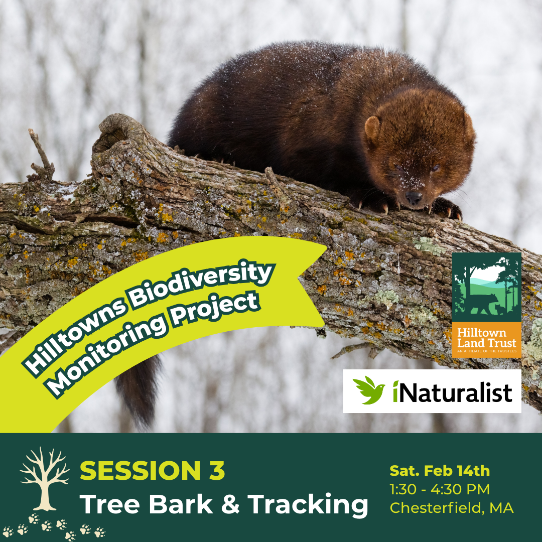 Biodiversity Monitoring Training: Tree Bark & Wildlife Tracking