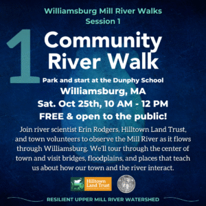 "Williamsburg Mill River Walks Session 1" event square, with the text "Community River Walk. Park and start at the Dunphy School. Williamsburg, MA. Sat. Oct 25th, 10 AM - 12 PM. FREE and open to the public! Join river scientist Erin Rodgers, Hilltown Land Trust, and town volunteers to observe the Mill River as it flows through Williamsburg. We’ll tour through the center of town and visit bridges, floodplains, and places that teach us about how our town and the river interact." Below are the logos for Hilltown Land Trust, the town of Williamsburg, and Bay State Forestry, followed by the text "Resilient Upper Mill Watershed."