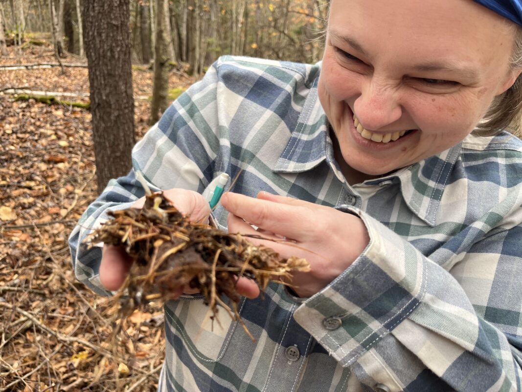 A person grinning gleefully at a pile of forest duff with a tiny mushroom on it.