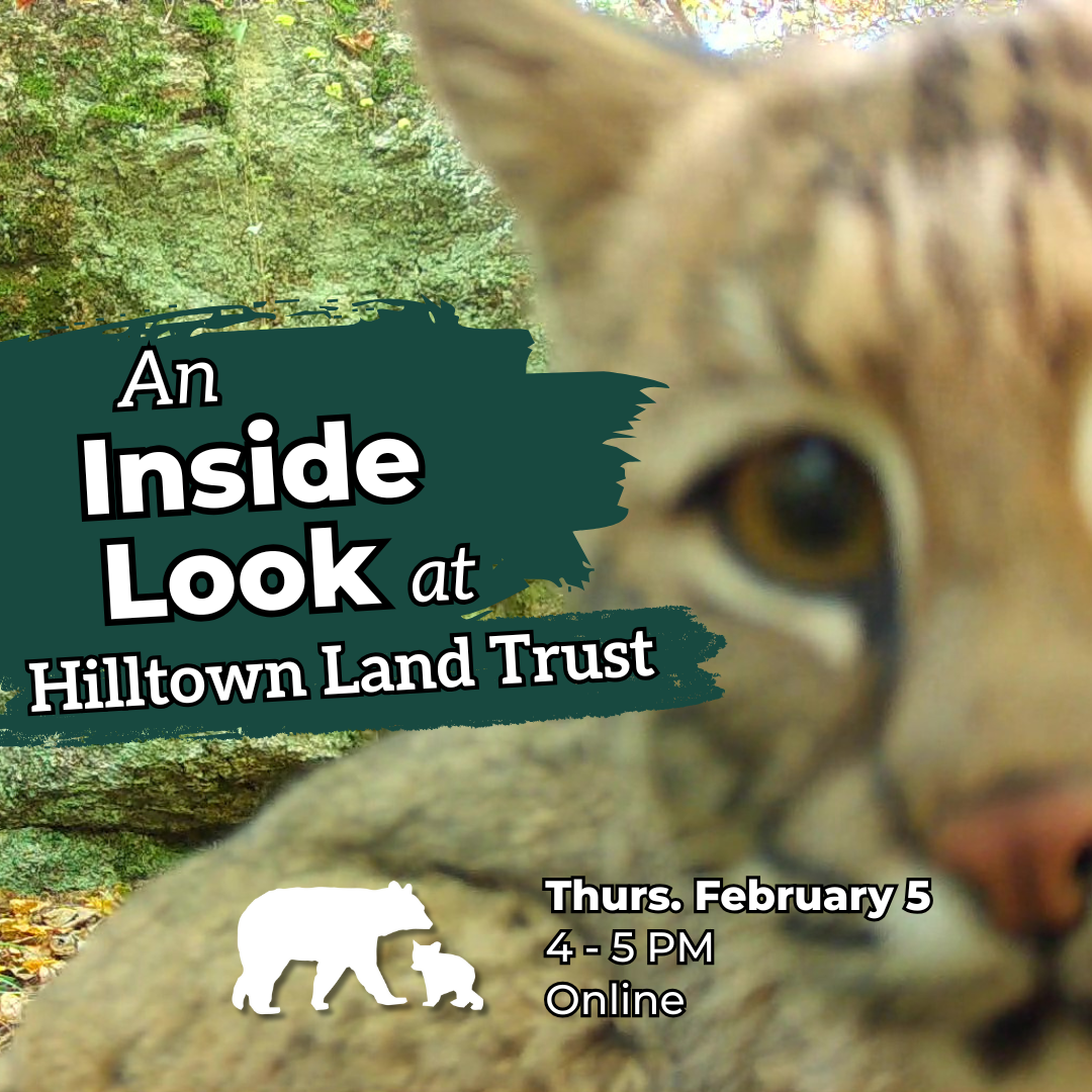 An Inside Look at Hilltown Land Trust