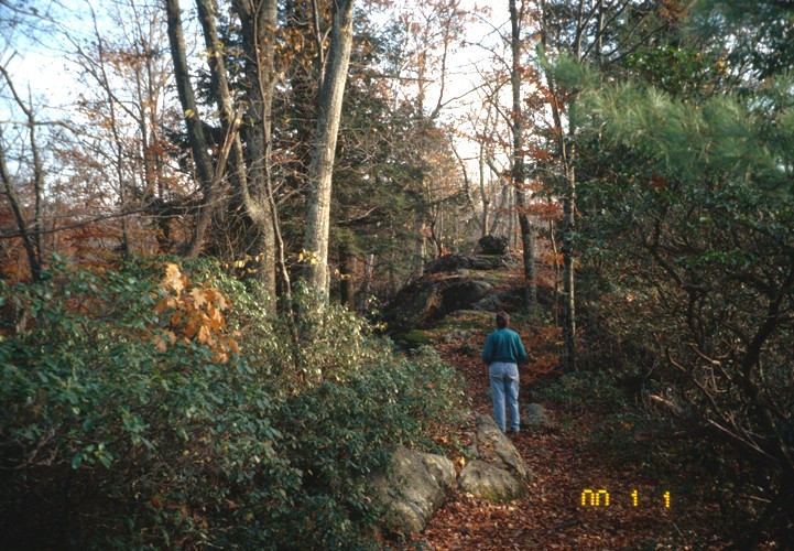 A film photo of a hiker in the middle distance looking up at a rock pile in a forest.