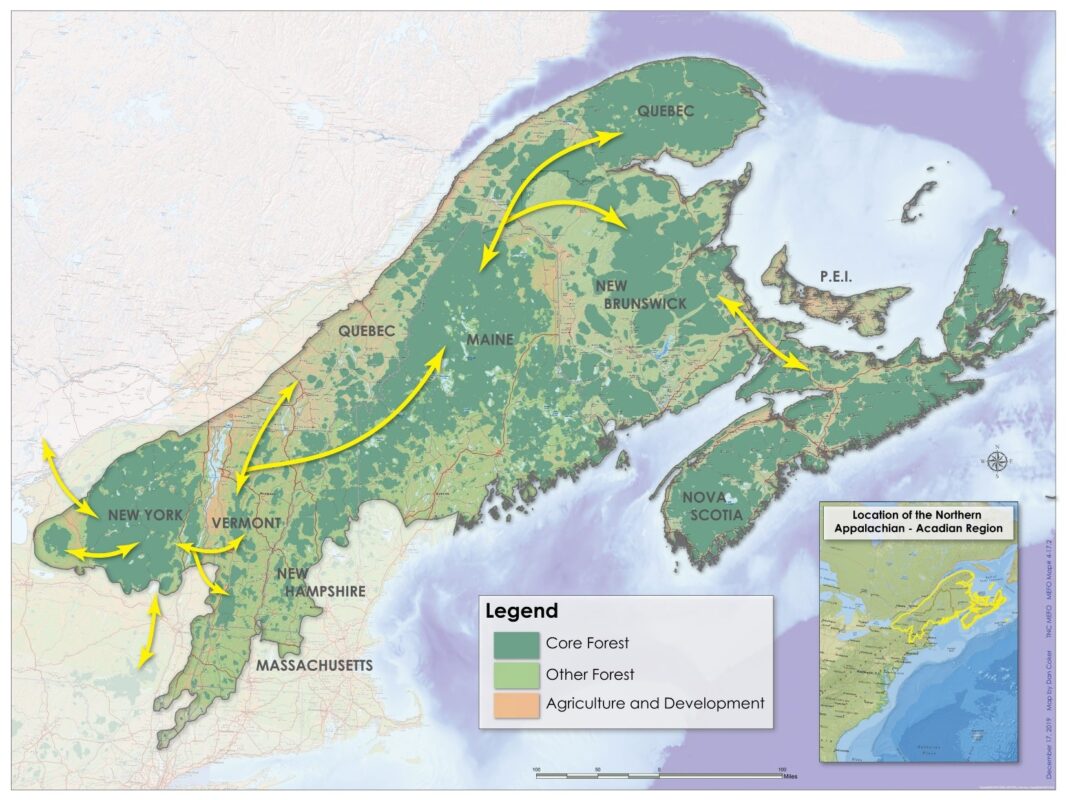 A map of the northeastern US and maritime Canada, showing core forest, other forest, and agriculture and development. Yellow arrows indicate major travel corridors for wildlife.