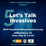 Let's Talk Invasives: Meet a Forester Woods Walk