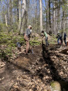 Volunteers use hand tools to grade a woodland trail.