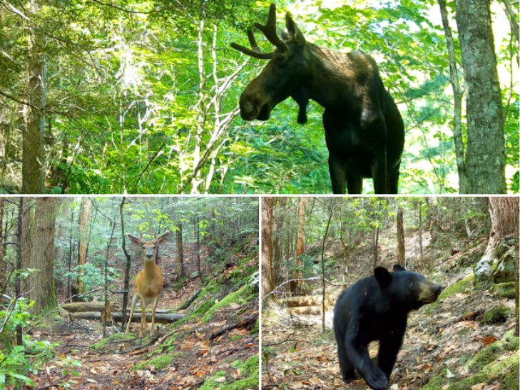 New Major State Funding to HLT and Land Conservation Across MA