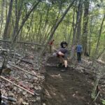 Several people work with rakes and hoes on a stretch of trail through young black birch forest.