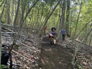 Several people work with rakes and hoes on a stretch of trail through young black birch forest.