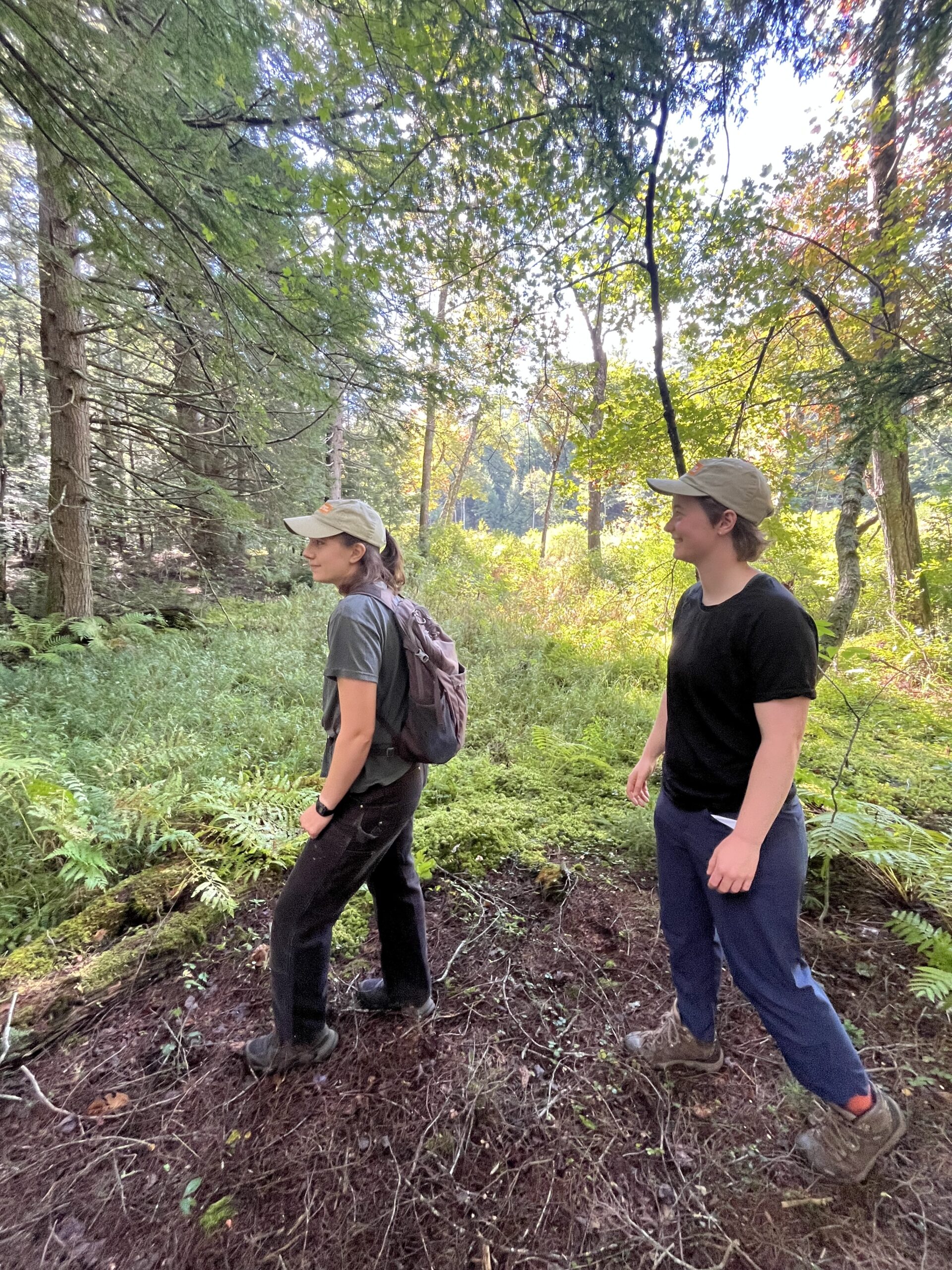 Trail Opening Hike in Chesterfield