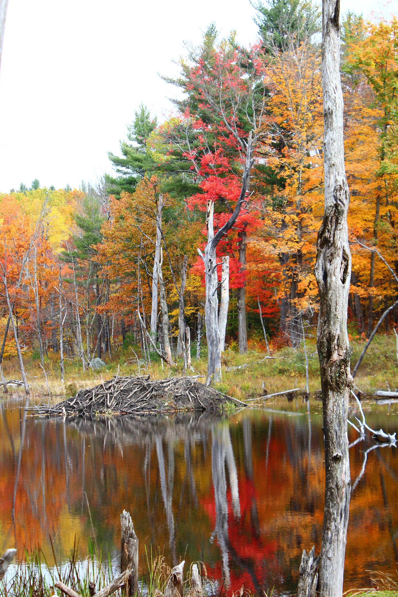 Hilltown Land Trust 2017 Fall Photo Contest Water Everywhere 