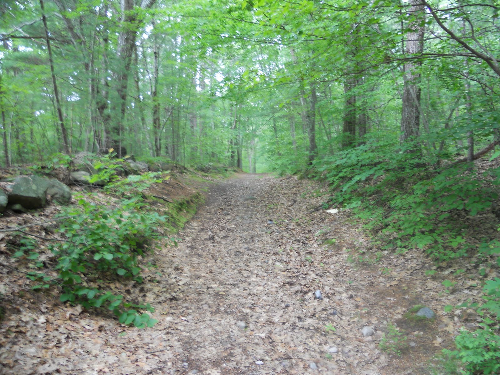 Hiking the Breckenridge Sanctuary