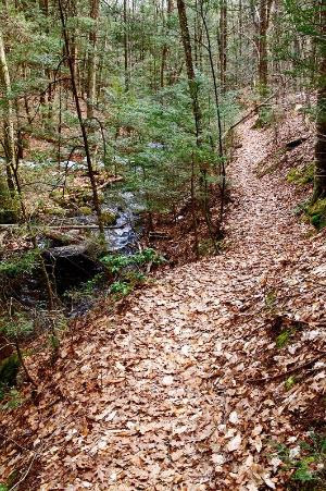 Bradley Sanctuary Trail